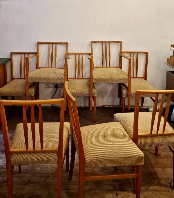 8x 1960s Gordon Russell dining chairs