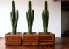 A Set of 1950s French wooden planters