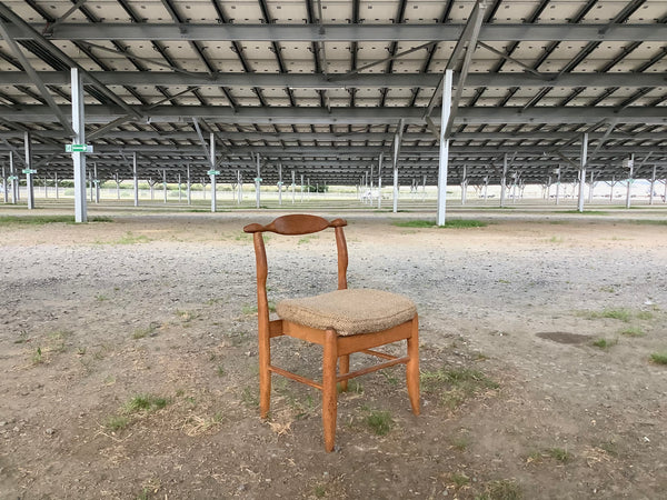 Guilherme et Chambron chair