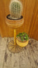 Vintage Rattan plant holder 1970's