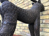 A pair of Benin Leopards