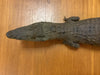 Pair of TAXIDERMY CROCODILES