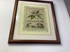 1800s copper Etching hand painted colour